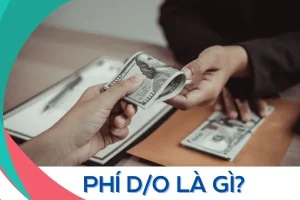 Tìm hiểu về phí D/O trong xuất nhập khẩu